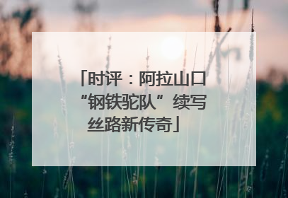 时评：阿拉山口“钢铁驼队”续写丝路新传奇