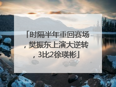 时隔半年重回赛场，樊振东上演大逆转，3比2徐瑛彬