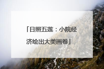 日照五莲：小院经济绘出大美画卷