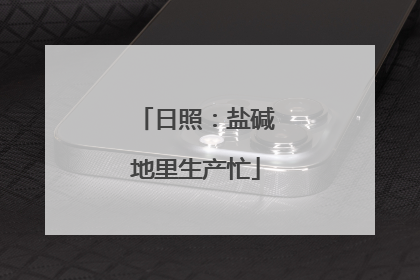 日照：盐碱地里生产忙