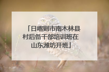 日喀则市南木林县村后备干部培训班在山东潍坊开班