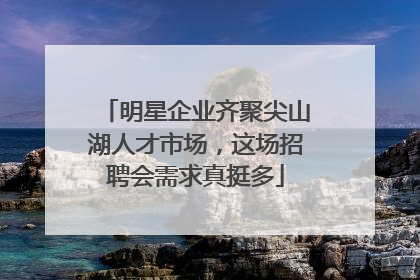 明星企业齐聚尖山湖人才市场，这场招聘会需求真挺多