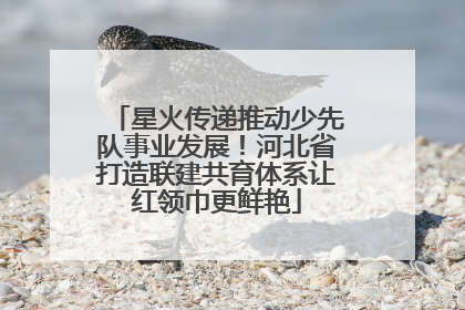 星火传递推动少先队事业发展！河北省打造联建共育体系让红领巾更鲜艳