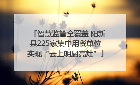 智慧监管全覆盖 阳新县225家集中用餐单位实现“云上明厨亮灶”