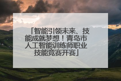 智能引领未来、技能成就梦想！青岛市人工智能训练师职业技能竞赛开赛