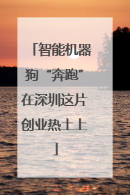 智能机器狗“奔跑”在深圳这片创业热土上