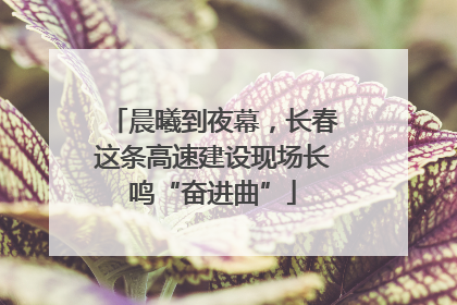 晨曦到夜幕，长春这条高速建设现场长鸣“奋进曲”