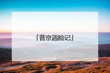 普京遇险记