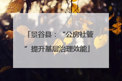 景谷县：“公房社管”提升基层治理效能