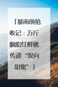 暴雨前抢收记：万斤胭脂红鲜桃传递“双向甜蜜”
