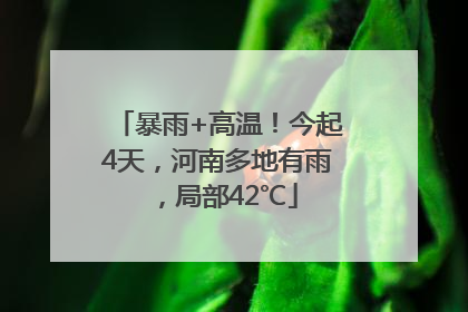 暴雨+高温！今起4天，河南多地有雨，局部42℃