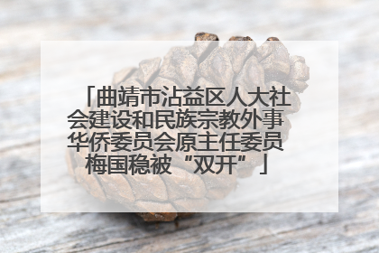 曲靖市沾益区人大社会建设和民族宗教外事华侨委员会原主任委员梅国稳被“双开”