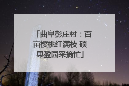 曲阜彭庄村：百亩樱桃红满枝 硕果盈园采摘忙