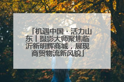 机遇中国・活力山东丨摄影大师聚焦临沂新明辉商城，展现商贸物流新风貌