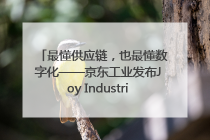 最懂供应链，也最懂数字化——京东工业发布Joy Industrial 重塑工业未来