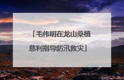毛伟明在龙山桑植慈利指导防汛救灾