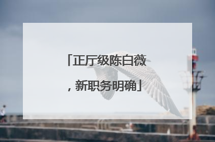 正厅级陈白薇，新职务明确
