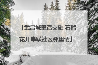 武昌城里话交融 石榴花开串联社区邻里情