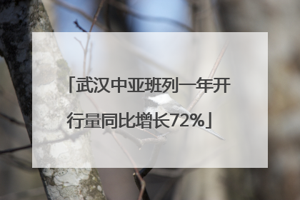 武汉中亚班列一年开行量同比增长72%