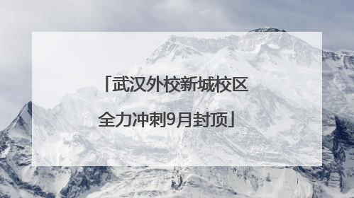 武汉外校新城校区全力冲刺9月封顶