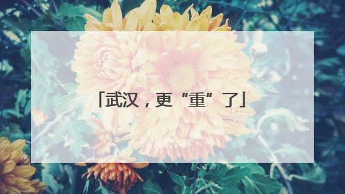 武汉，更“重”了