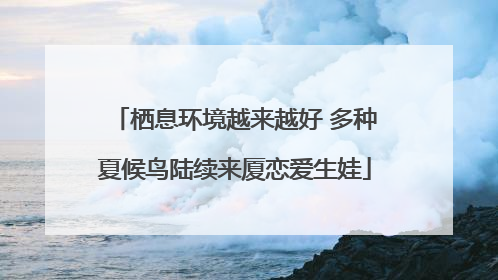 栖息环境越来越好 多种夏候鸟陆续来厦恋爱生娃