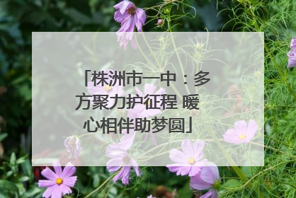 株洲市一中：多方聚力护征程 暖心相伴助梦圆
