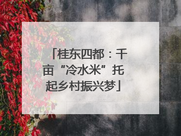 桂东四都：千亩“冷水米”托起乡村振兴梦