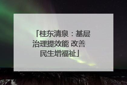 桂东清泉：基层治理提效能 改善民生增福祉