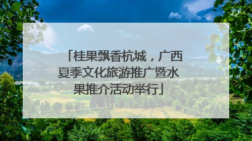 桂果飘香杭城，广西夏季文化旅游推广暨水果推介活动举行