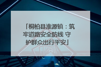 桐柏县淮源镇：筑牢道路安全防线 守护群众出行平安