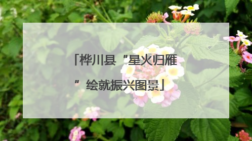 桦川县“星火归雁”绘就振兴图景