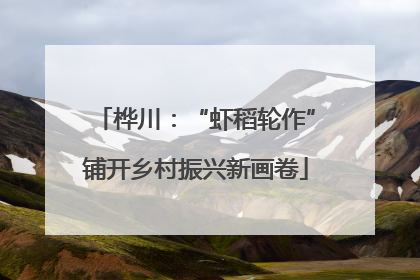 桦川：“虾稻轮作”铺开乡村振兴新画卷