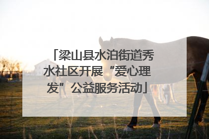 梁山县水泊街道秀水社区开展“爱心理发”公益服务活动