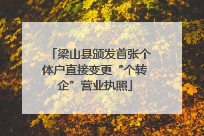 梁山县颁发首张个体户直接变更“个转企”营业执照