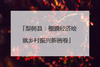 梨树县：棚膜经济绘就乡村振兴新画卷