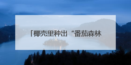 椰壳里种出“番茄森林”！当番茄“渴了”“饿了”还能精准投喂→