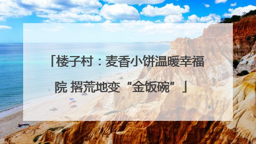 楼子村：麦香小饼温暖幸福院 撂荒地变“金饭碗”