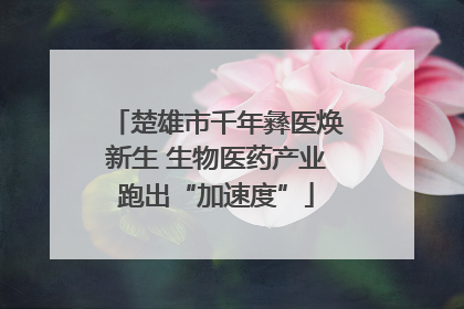 楚雄市千年彝医焕新生 生物医药产业跑出“加速度”