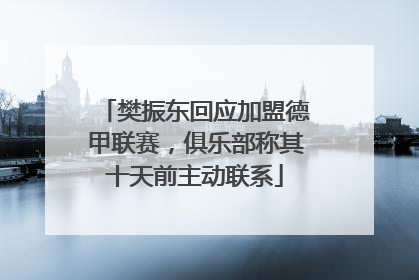 樊振东回应加盟德甲联赛，俱乐部称其十天前主动联系