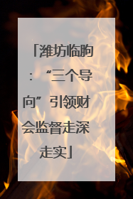 潍坊临朐：“三个导向”引领财会监督走深走实