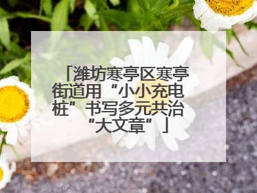 潍坊寒亭区寒亭街道用“小小充电桩”书写多元共治“大文章”