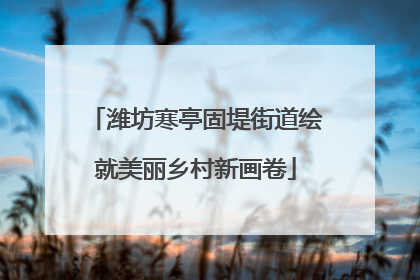 潍坊寒亭固堤街道绘就美丽乡村新画卷