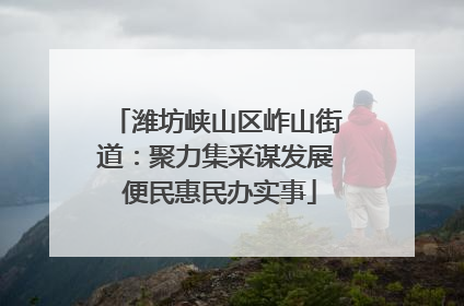 潍坊峡山区岞山街道：聚力集采谋发展 便民惠民办实事