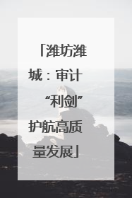 潍坊潍城：审计“利剑”护航高质量发展