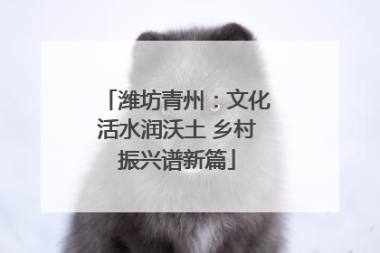 潍坊青州：文化活水润沃土 乡村振兴谱新篇