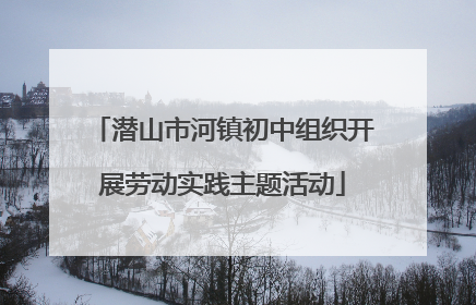 潜山市河镇初中组织开展劳动实践主题活动