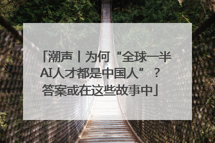 潮声丨为何“全球一半AI人才都是中国人”？答案或在这些故事中