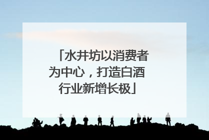 水井坊以消费者为中心，打造白酒行业新增长极