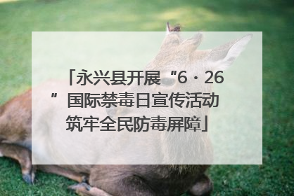 永兴县开展“6・26”国际禁毒日宣传活动 筑牢全民防毒屏障